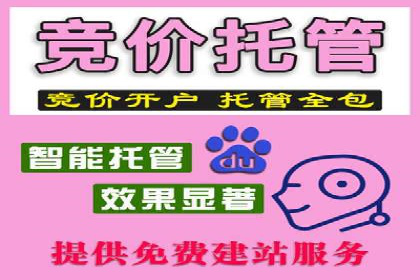 百度推广渠道拓展，成功案例分析